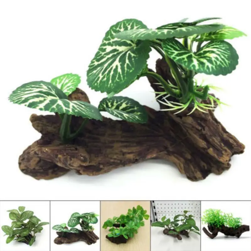 Planted Aquarium Making - 플라스틱 인조 거북이 나무 줄기 유목