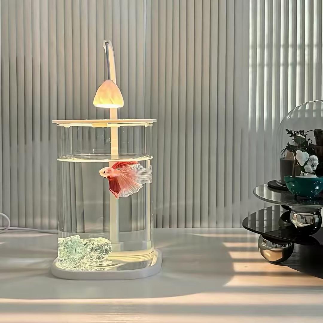 Planted Aquarium For Betta - 360 ° 파노라마 투명 데스크탑 어항