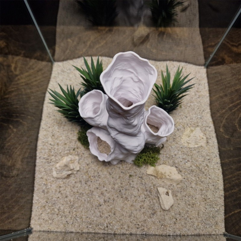 Planted Aquarium For Betta - 핫세일 3D 프린팅 산호 터널 은신처