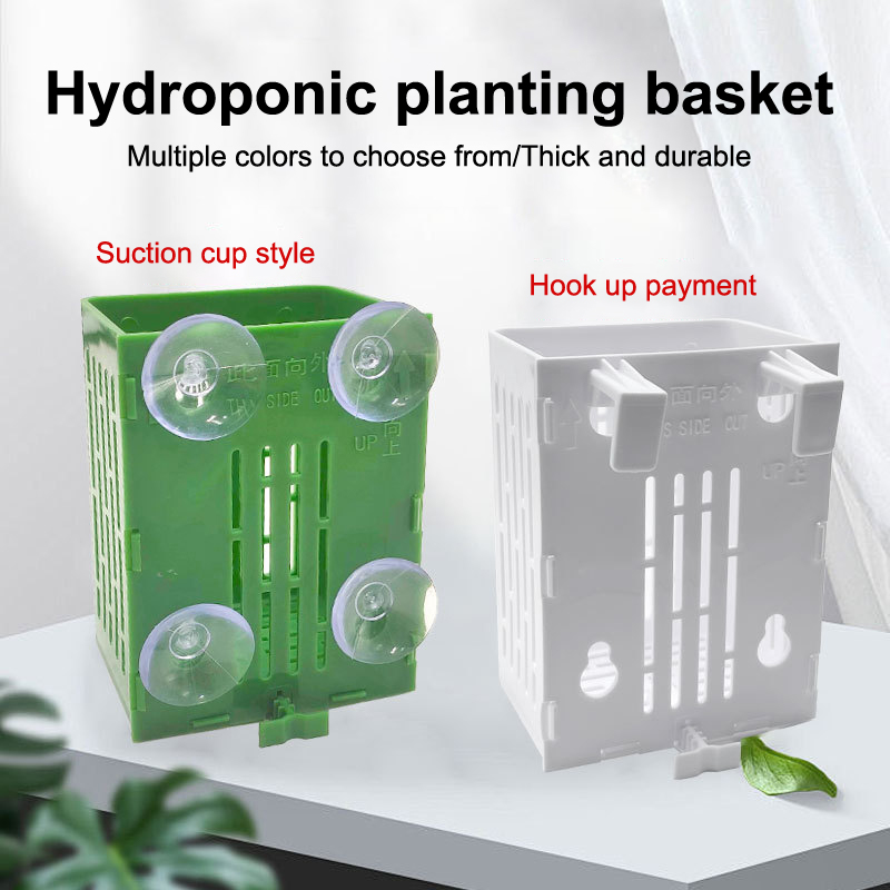 Planted Aquarium Aquascape - 행잉 흡입 컵 후크 수족관 식물