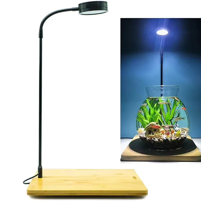 Planted Aquarium For Betta - 수족관 나노 탱크 베타 물고기 탱크
