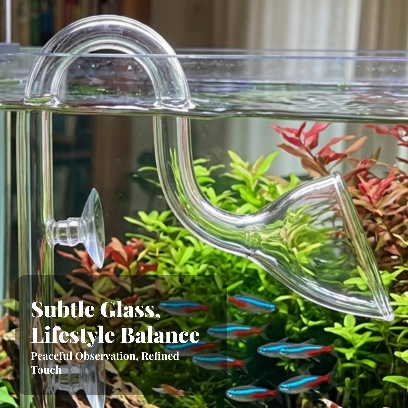 Planted Aquarium Aquascape - 수족관 필터 입구 및 출구 투명