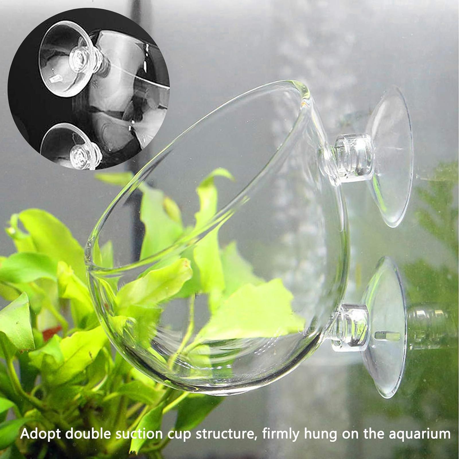 Aquarium Plant Vine - 수족관 유리 화분 흡착판 포함 생물