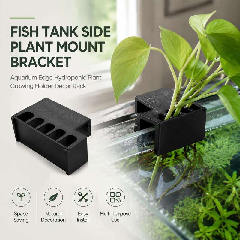 Aquarium Plant Ornament - 어항 측면 식물 거치대 수경재배 홀더