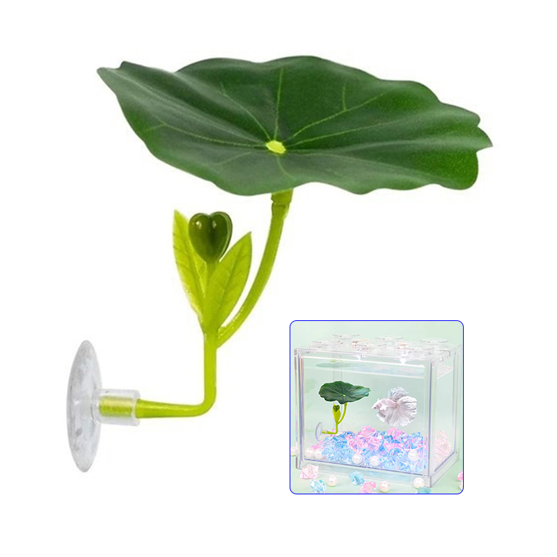 Planted Aquarium For Betta - 베타 물고기를 위한 녹색 잎 모양