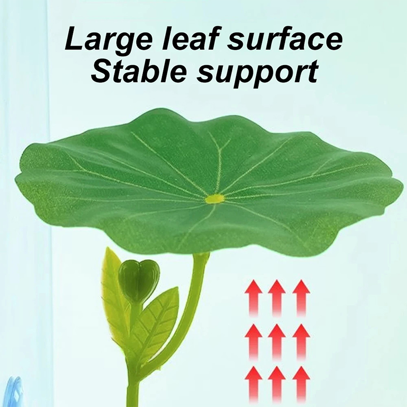 Planted Aquarium For Betta - 베타 물고기용 스트레스 감소 장치, 수족관