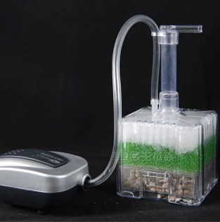 신유 XY-2011 어항 펌프 공기 구동 바이오 필터  - Aquarium Plant Ideas 리뷰 및 가격