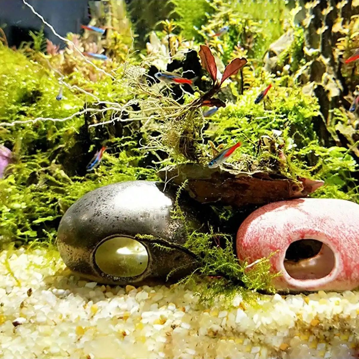 1pc-250g 천연 크리스탈 자갈 돌 마이크로 조경  - Planted Aquarium With Sand 리뷰 및 가격