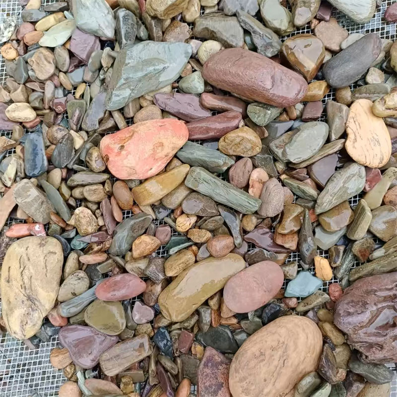 500g 물고기 탱크 바닥 모래 돌 수족관 풍경 네이티 - Planted Aquarium With Sand 리뷰 및 가격