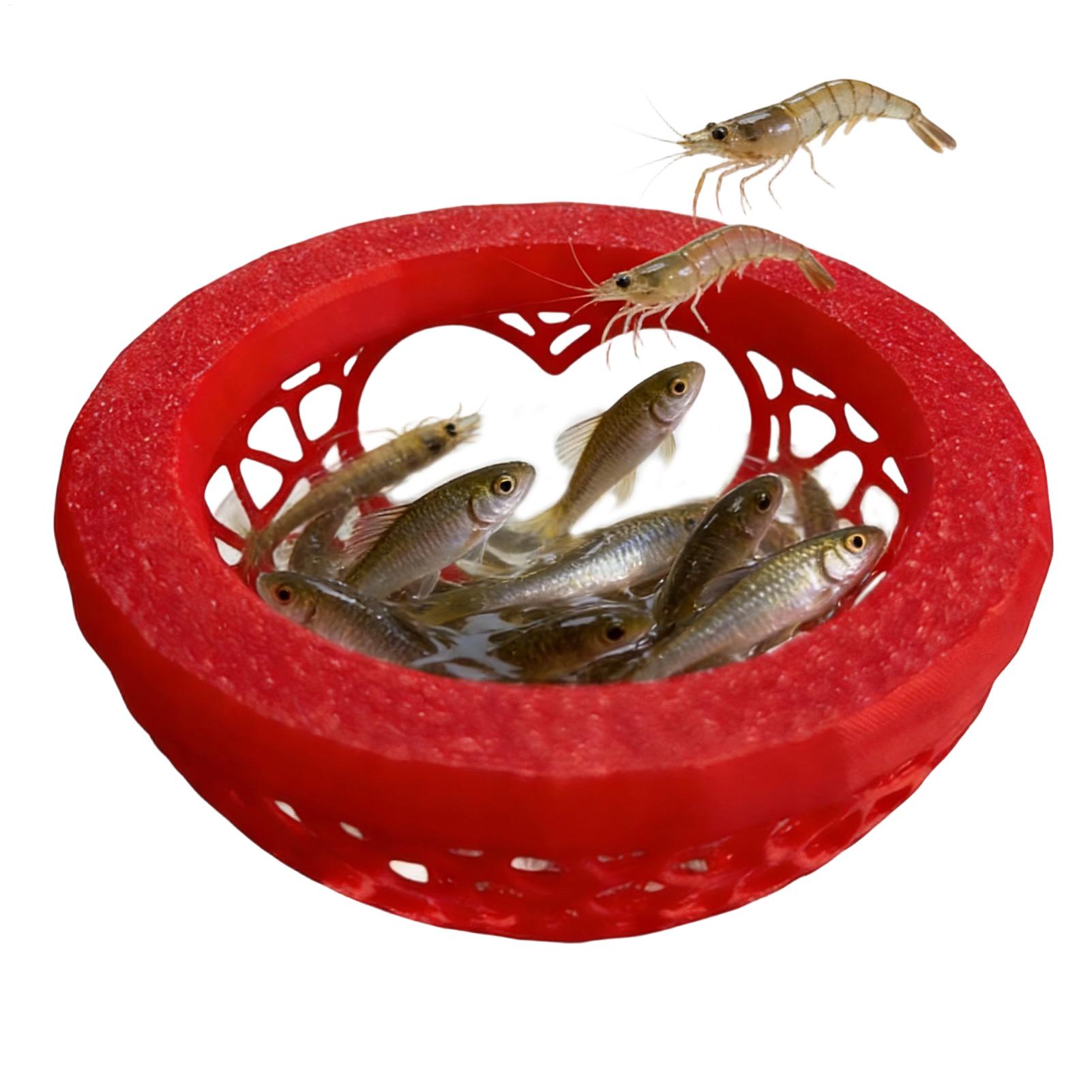 플로팅 베타 쉘터 베타 해먹 플로팅 베타 은신처 3D  - Planted Aquarium For Betta 리뷰 및 가격