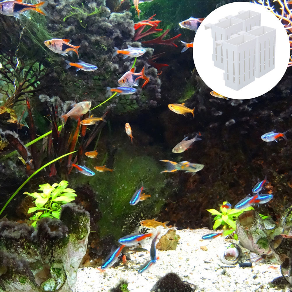 4개입 수생 식물 홀더, 수조 조경용 걸이식 수초 바구 - Aquarium Plant Nutrients 리뷰 및 가격