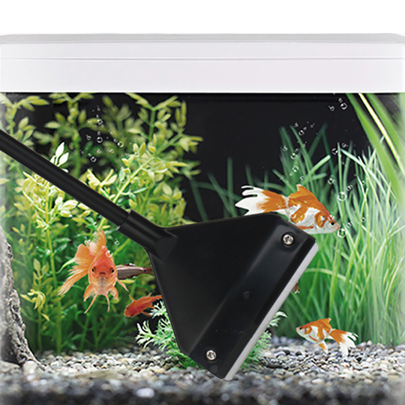 수족관 클리너 도구 물고기 탱크 플랫 모래 조류 제거  - Planted Aquarium Products 리뷰 및 가격