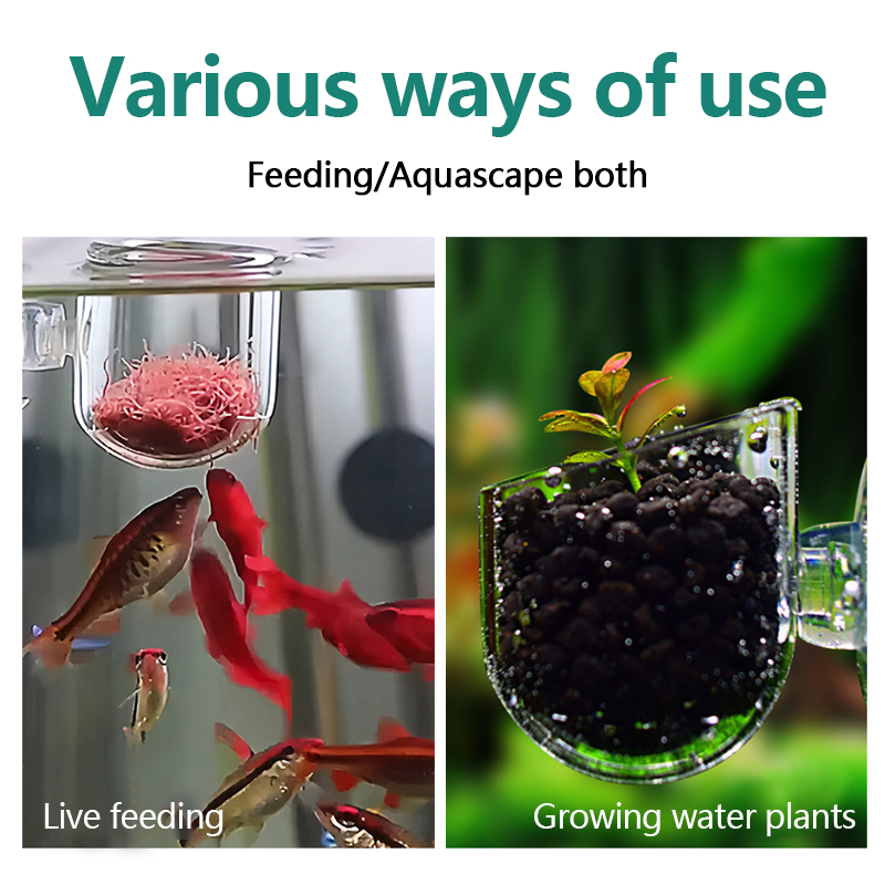 수족관 장식용 식물 컵 화분 아크릴 수생 식물 컵 흡착 - Planted Aquarium Products 리뷰 및 가격