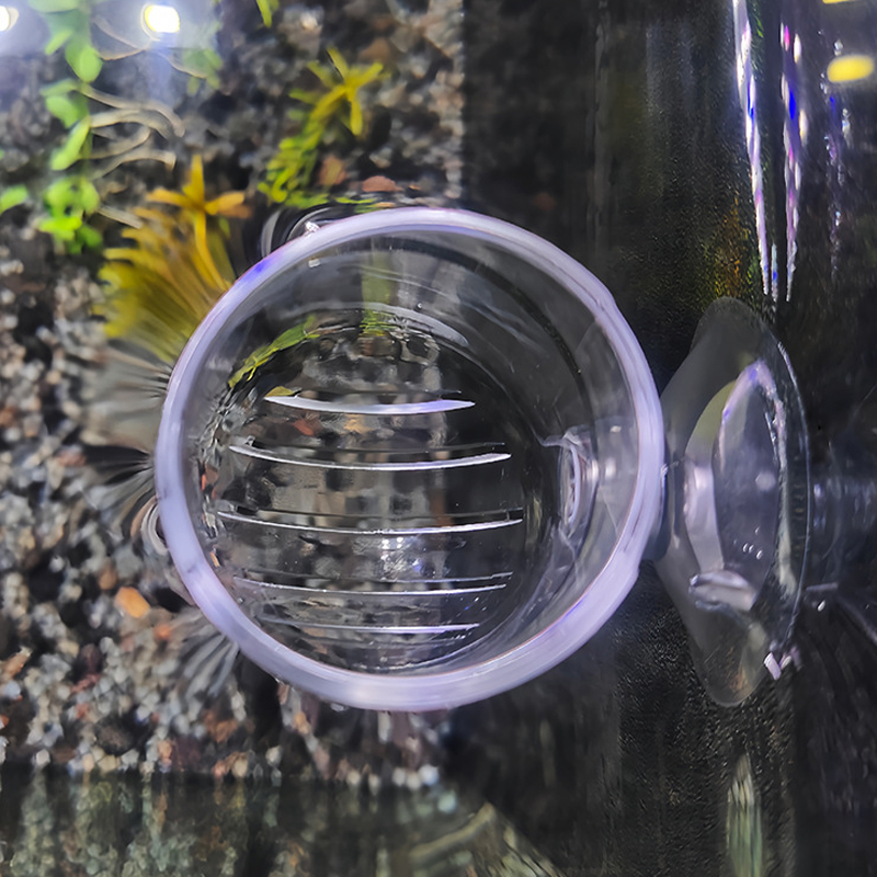 수족관 장식용 식물 컵 화분 아크릴 수생 식물 컵 흡착 - Planted Aquarium Products 리뷰 및 가격