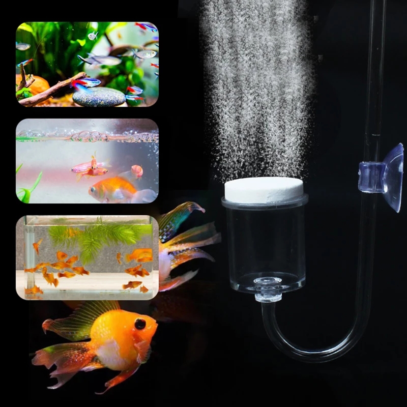 수족관 유리 탱크용 DIY CO2 디퓨저, 버블 반응기 - Aquarium Plant Vine 리뷰 및 가격