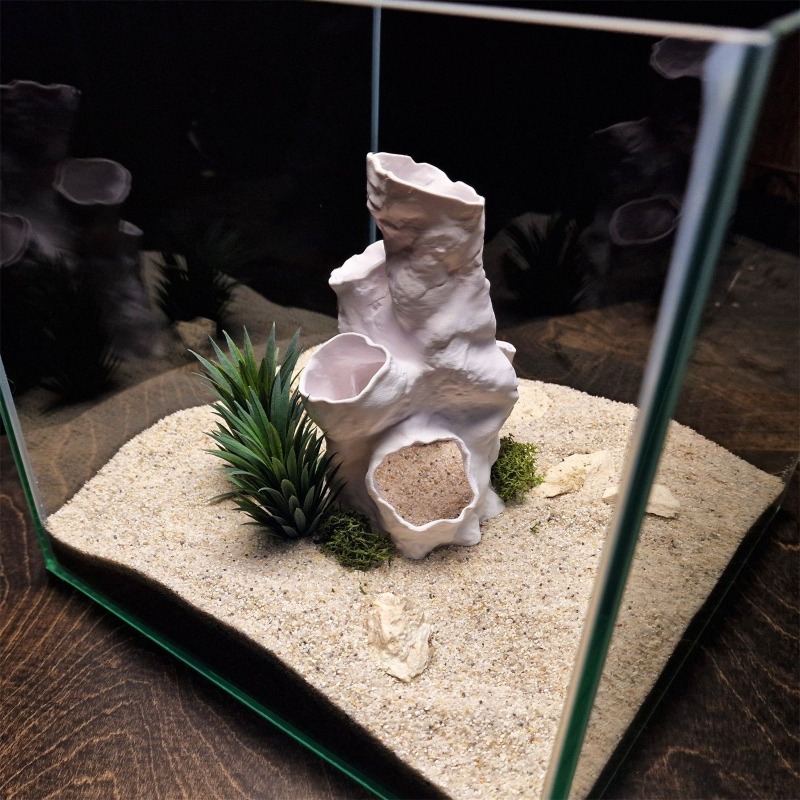 핫세일 3D 프린팅 산호 터널 은신처 나무 식물 장식  - Planted Aquarium For Betta 리뷰 및 가격