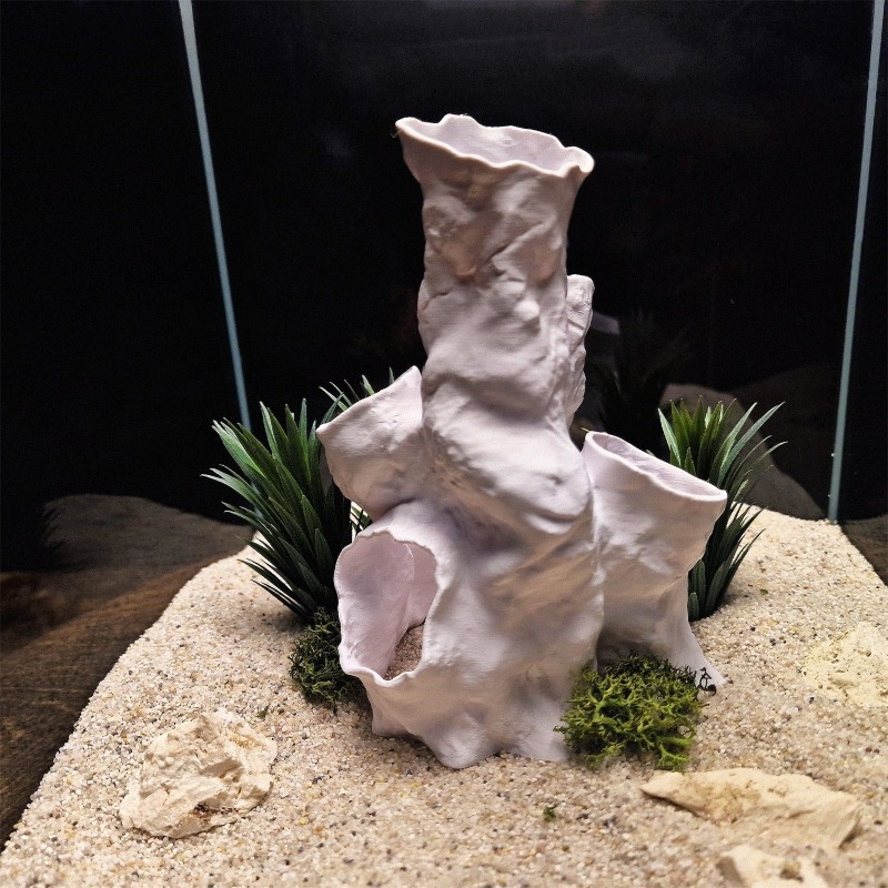 핫세일 3D 프린팅 산호 터널 은신처 나무 식물 장식  - Planted Aquarium For Betta 리뷰 및 가격