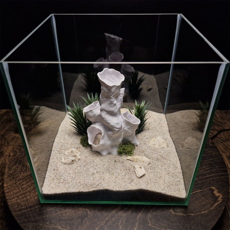 핫세일 3D 프린팅 산호 터널 은신처 나무 식물 장식  - Planted Aquarium For Betta 리뷰 및 가격