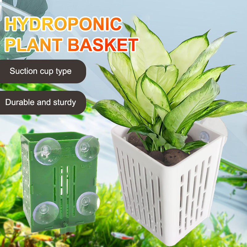 행잉 흡입 컵 후크 수족관 식물 거치대 플라스틱 수족관 - Planted Aquarium Aquascape 리뷰 및 가격