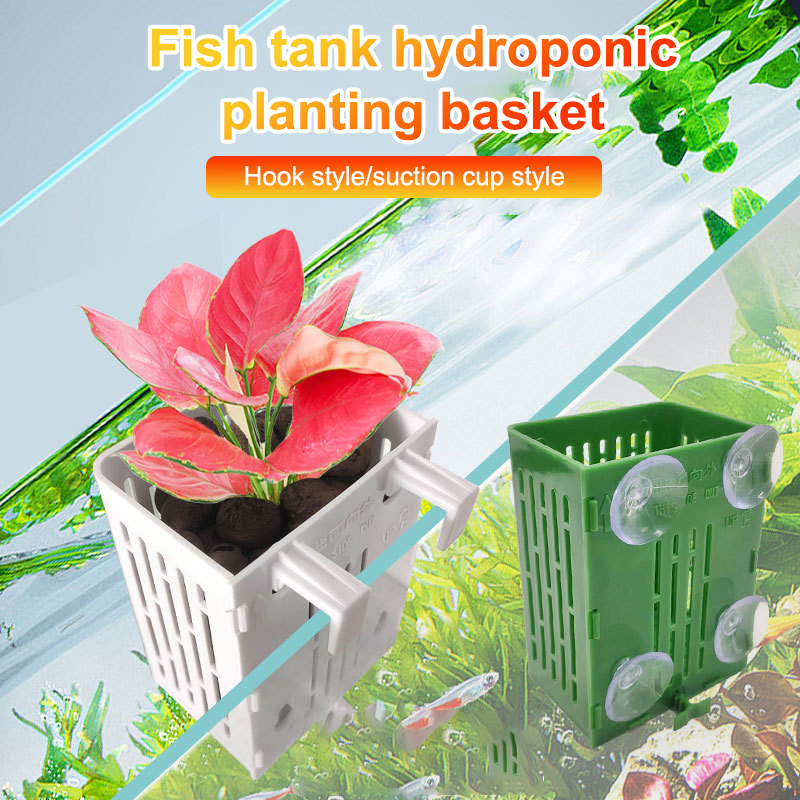 행잉 흡입 컵 후크 수족관 식물 거치대 플라스틱 수족관 - Planted Aquarium Aquascape 리뷰 및 가격