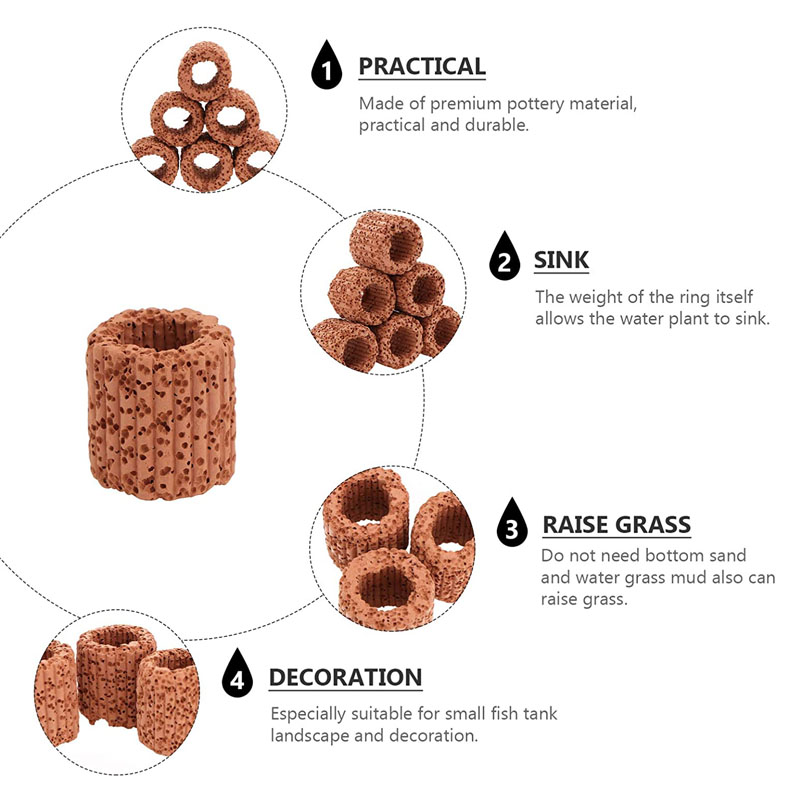 수족관 풍경을위한 수생 식물 고정 링 세라믹 수생 식물 - Planted Aquarium Products 리뷰 및 가격