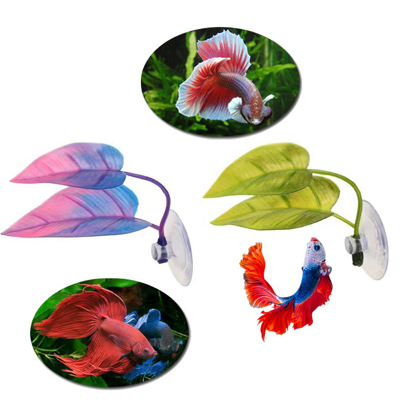 인공 수생 식물 어항 장식 베타 물고기 휴식 및 낳는  - Planted Aquarium For Betta 리뷰 및 가격
