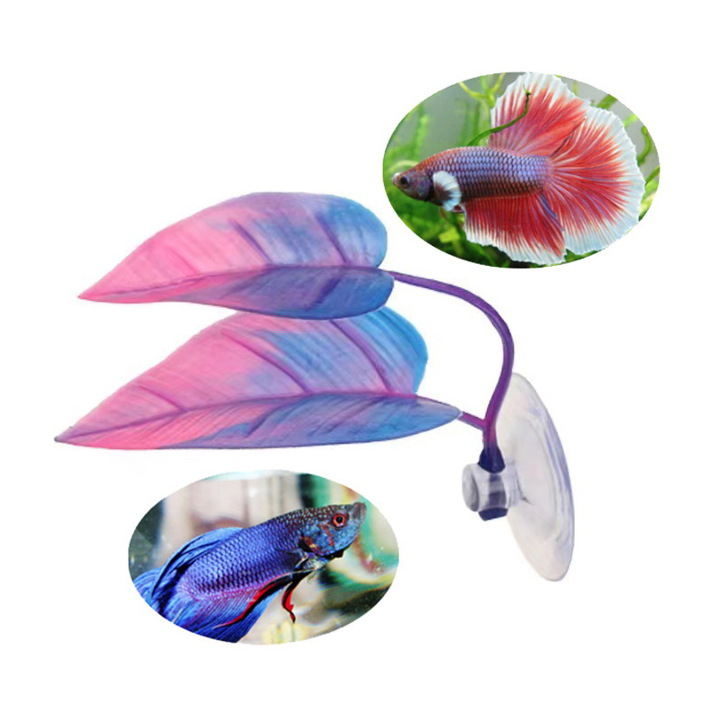 인공 수생 식물 어항 장식 베타 물고기 휴식 및 낳는  - Planted Aquarium For Betta 리뷰 및 가격