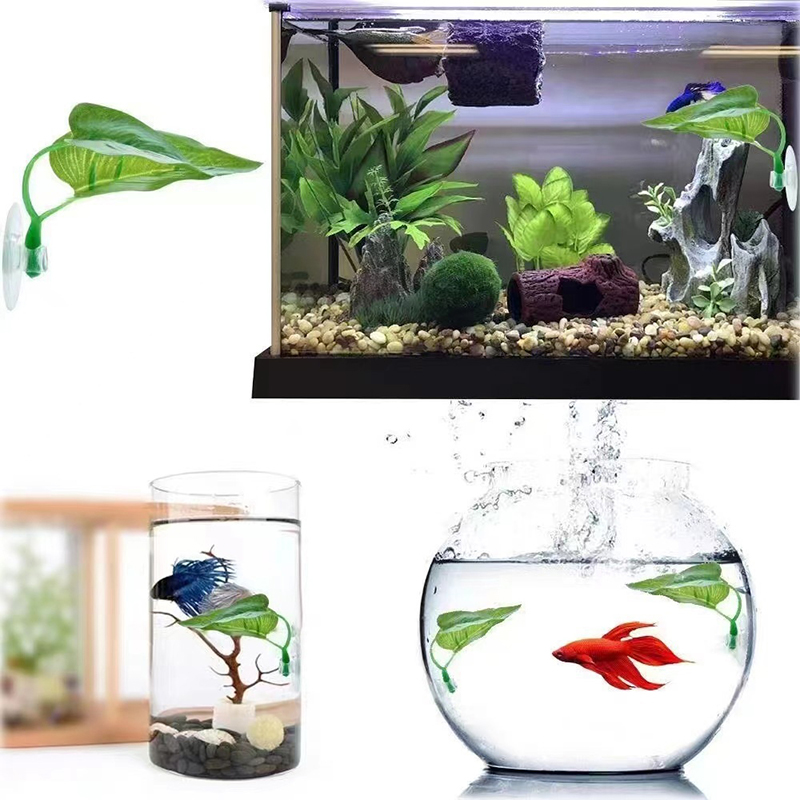 인공 수생 식물 어항 장식 베타 물고기 휴식 및 낳는  - Planted Aquarium For Betta 리뷰 및 가격