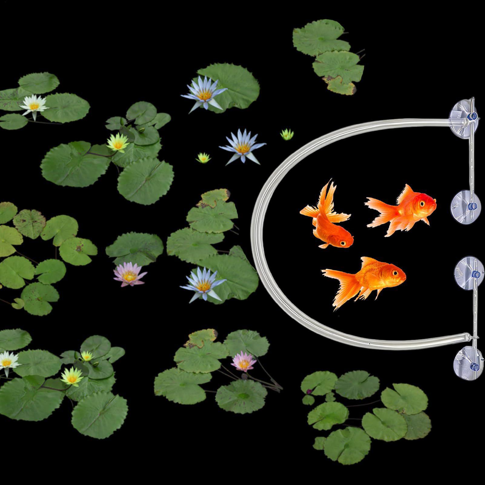 부유식 식물 차단 울타리 자동 높이 조절 가능 흡착 컵 - Planted Aquarium For Betta 리뷰 및 가격