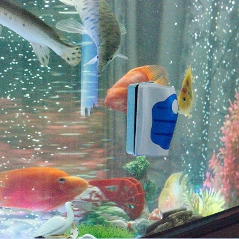 물고기 탱크 유리 스크레이퍼 클리너 플로팅 수족관 클리 - Planted Aquarium Products 리뷰 및 가격