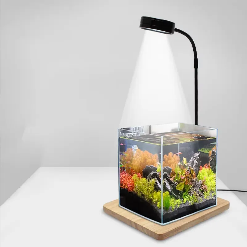 수족관 나노 탱크 베타 물고기 탱크 화분 식물 다육 식 - Planted Aquarium For Betta 리뷰 및 가격