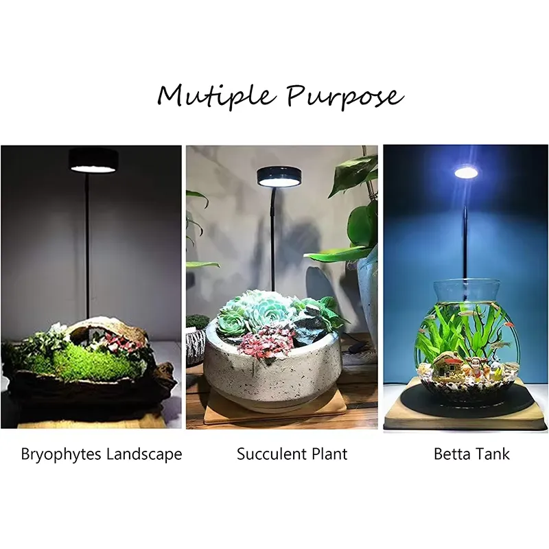 수족관 나노 탱크 베타 물고기 탱크 화분 식물 다육 식 - Planted Aquarium For Betta 리뷰 및 가격