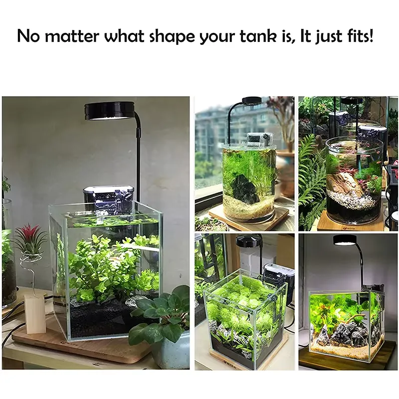 수족관 나노 탱크 베타 물고기 탱크 화분 식물 다육 식 - Planted Aquarium For Betta 리뷰 및 가격