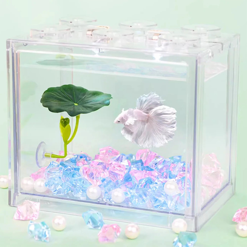 베타 물고기를 위한 녹색 잎 해먹, 스트레스 감소, 수 - Planted Aquarium For Betta 리뷰 및 가격
