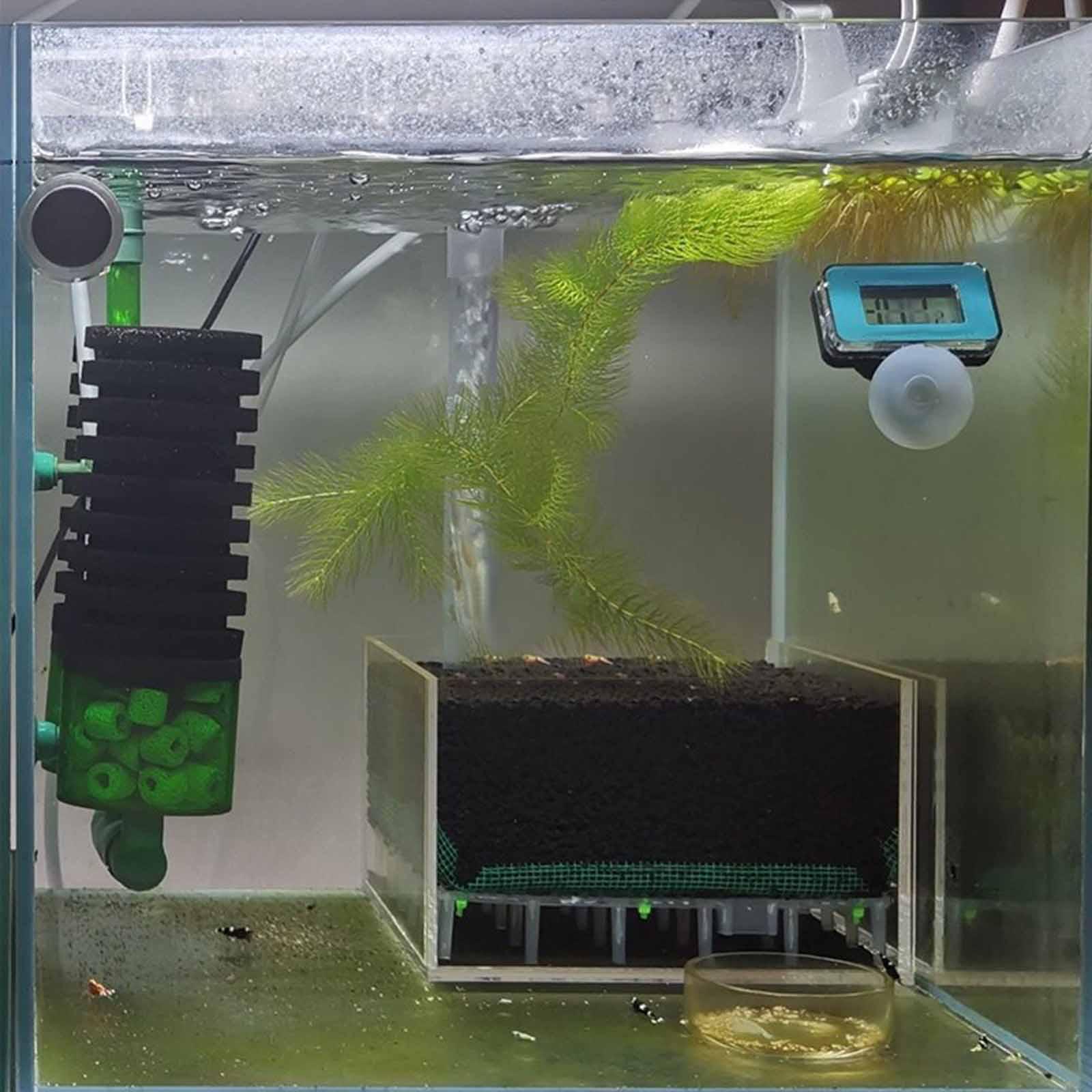 투명 아크릴 어항 필터 박스 언더그레이블 미니 사각형  - Planted Aquarium Undergravel Filter 리뷰 및 가격