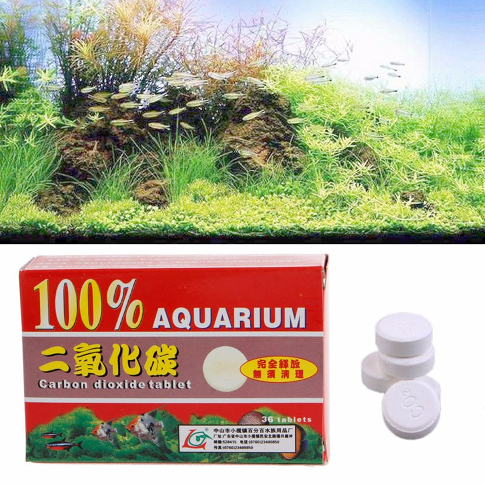 36Pcs CO2 정제 이산화탄소 보충 디퓨저 물고기  - Aquarium Plant Nutrients 리뷰 및 가격