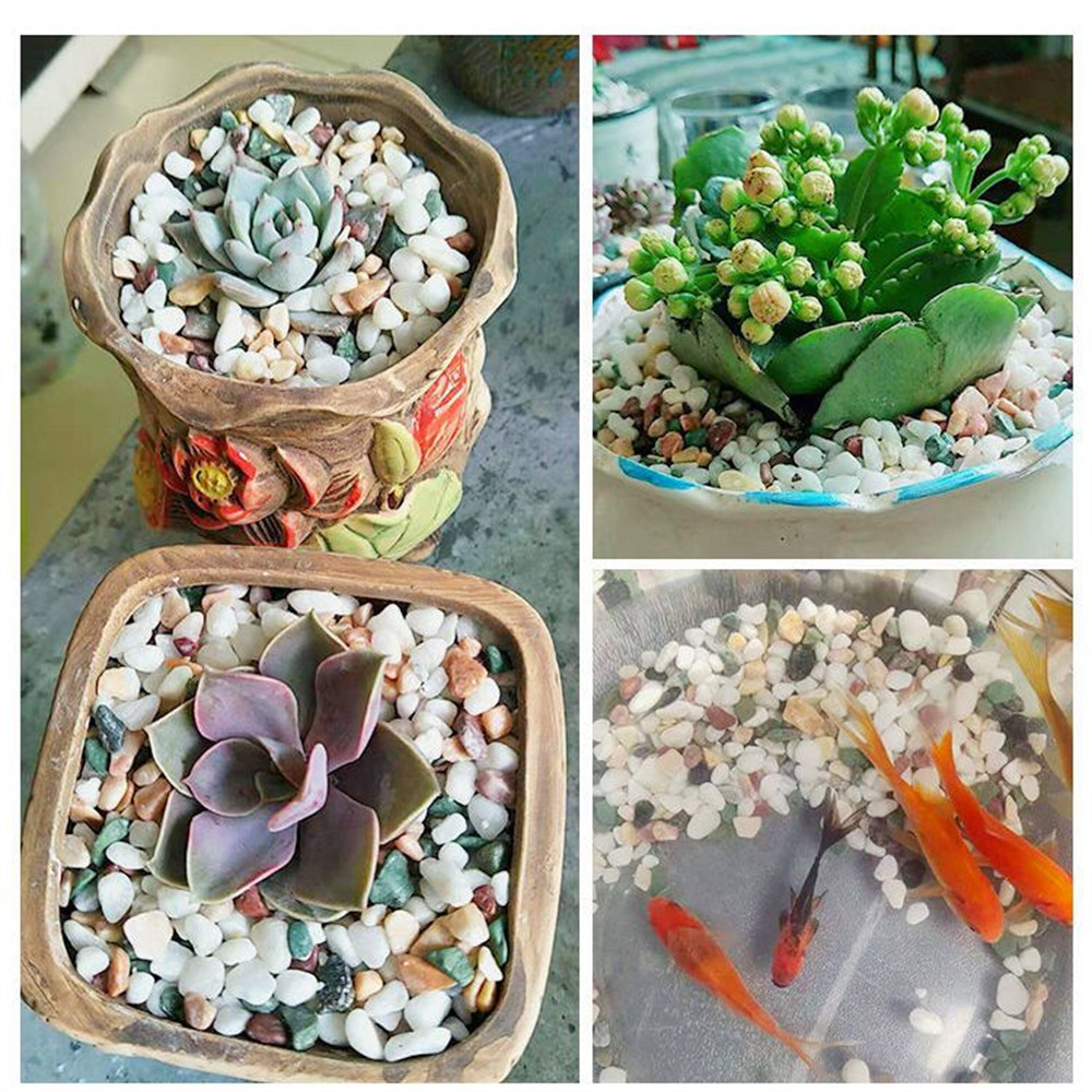 50/100g 천연 크리스탈 자갈 돌 마이크로 조경 정 - Planted Aquarium With Sand 리뷰 및 가격