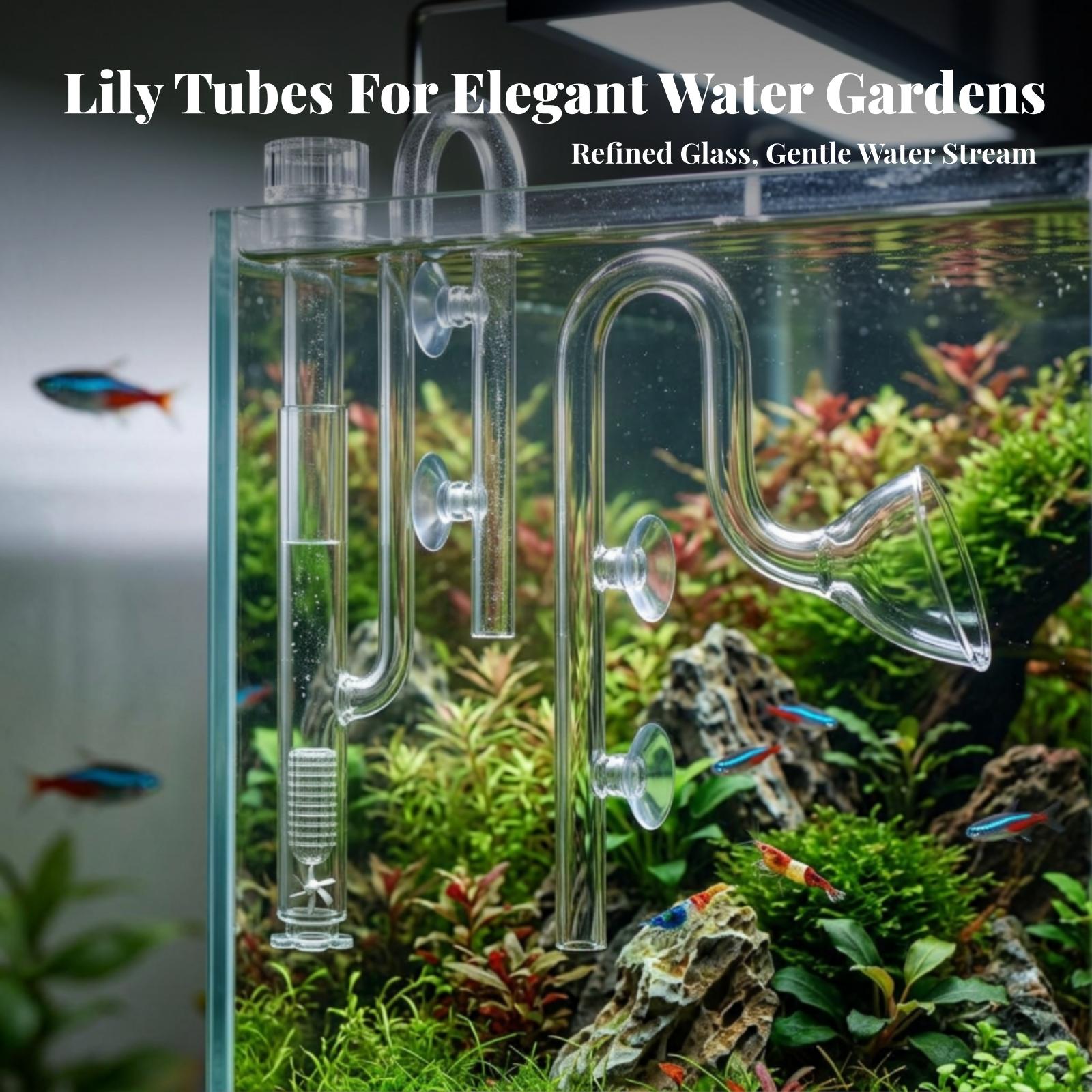 수족관 필터 입구 및 출구 투명 수족관 릴리 파이프 세 - Planted Aquarium Aquascape 리뷰 및 가격