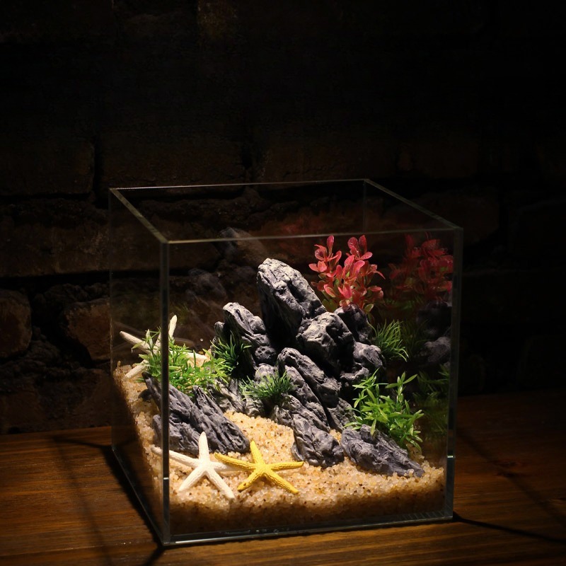 수족관 장식 시뮬레이션 스톤 록어리 풍경 수생 식물 장 - Planted Aquarium Aquascape 리뷰 및 가격