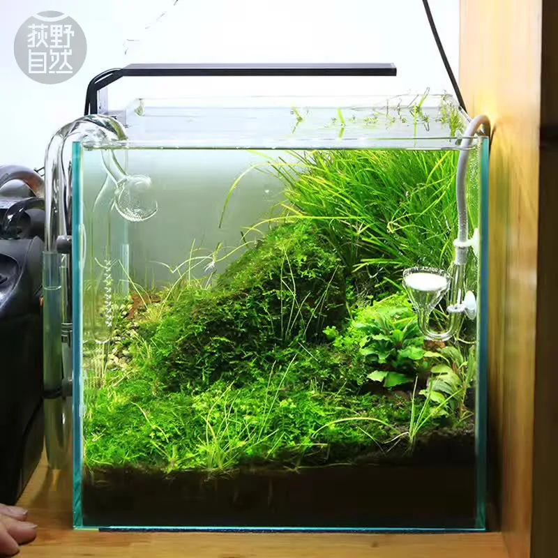 Chihiros C 시리즈 ADA 스타일 식물 성장 L - Planted Aquarium Products 리뷰 및 가격