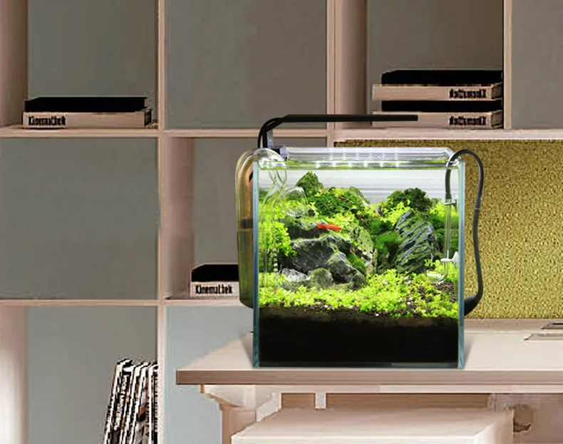 Chihiros C 시리즈 ADA 스타일 식물 성장 L - Planted Aquarium Products 리뷰 및 가격