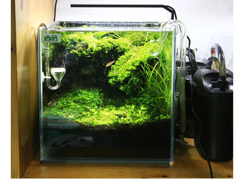 Chihiros C 시리즈 ADA 스타일 식물 성장 L - Planted Aquarium Products 리뷰 및 가격