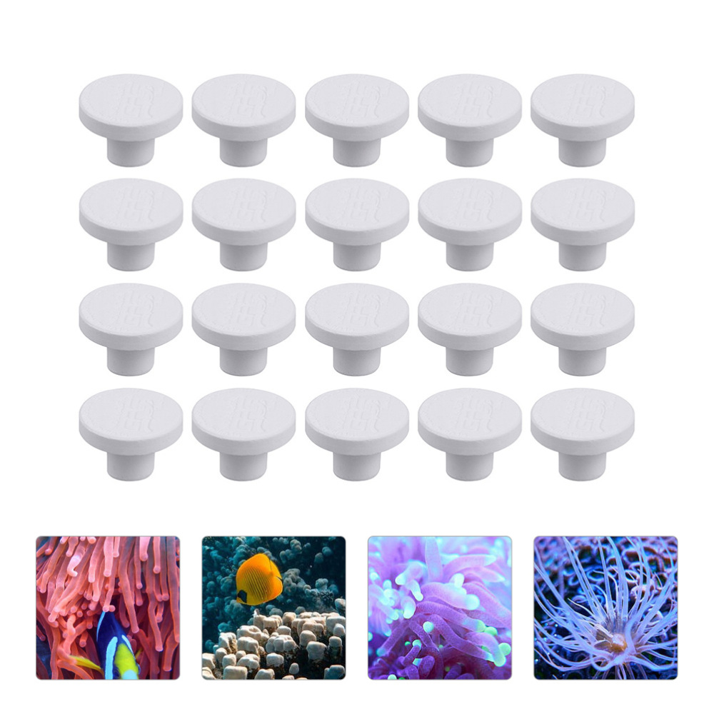 SPS 세라믹 코랄 프래그 플러그 베이스 사각형 T자형 - Aquarium Plant Ornament 리뷰 및 가격