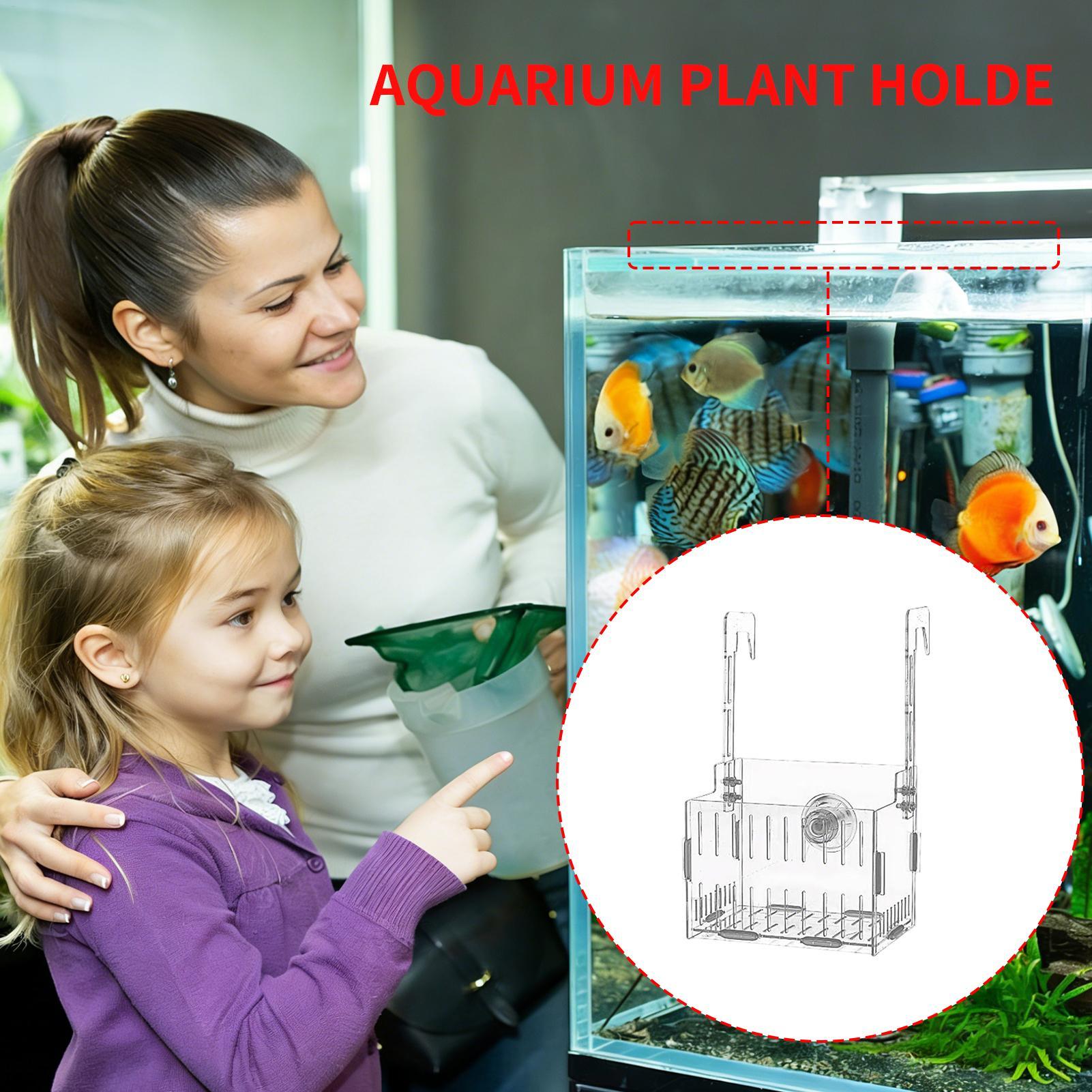 아크릴 수족관 식물 홀더 높이 조절 가능 수경 재배 화 - Aquarium Plant Vine 리뷰 및 가격