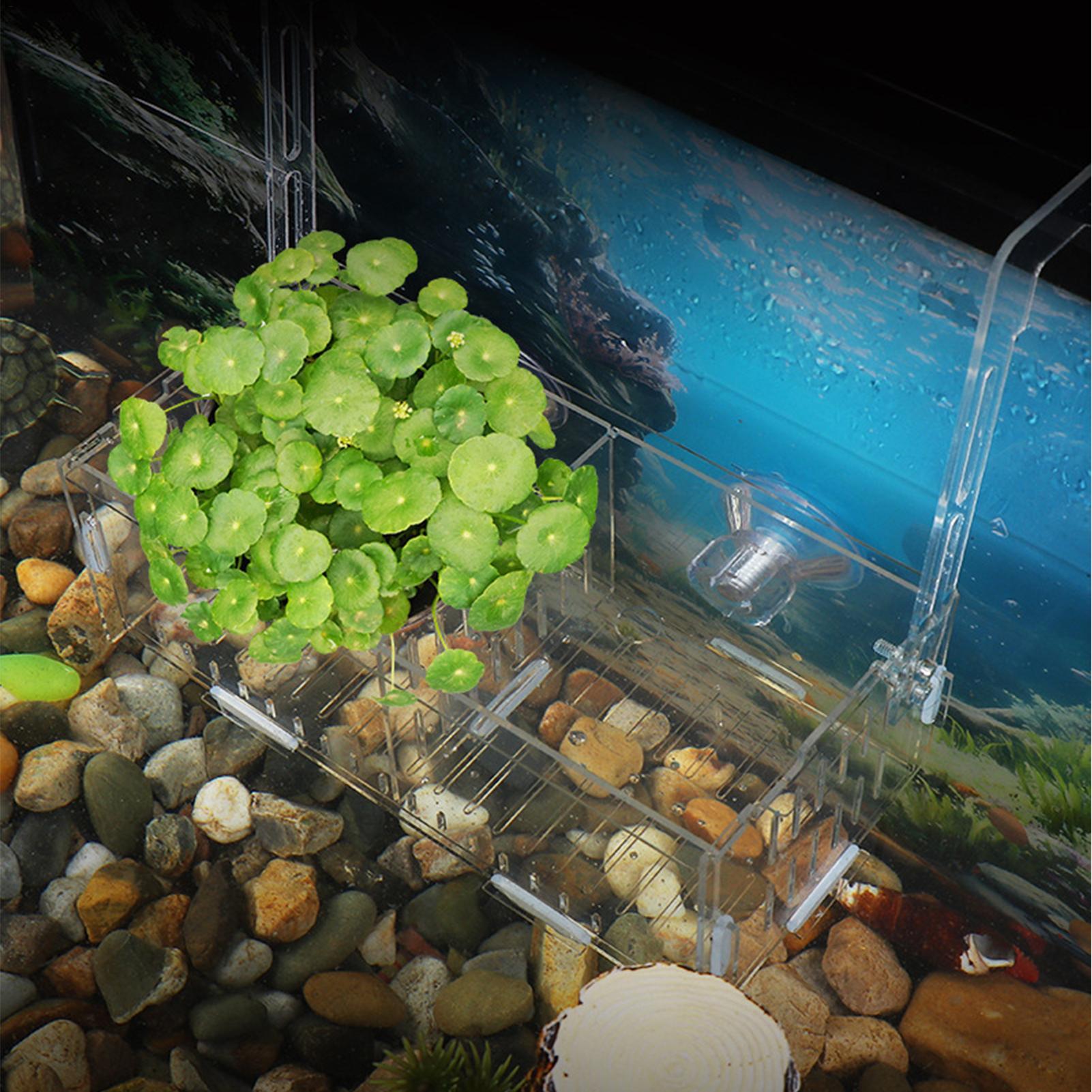 아크릴 수족관 식물 홀더 높이 조절 가능 수경 재배 화 - Aquarium Plant Vine 리뷰 및 가격