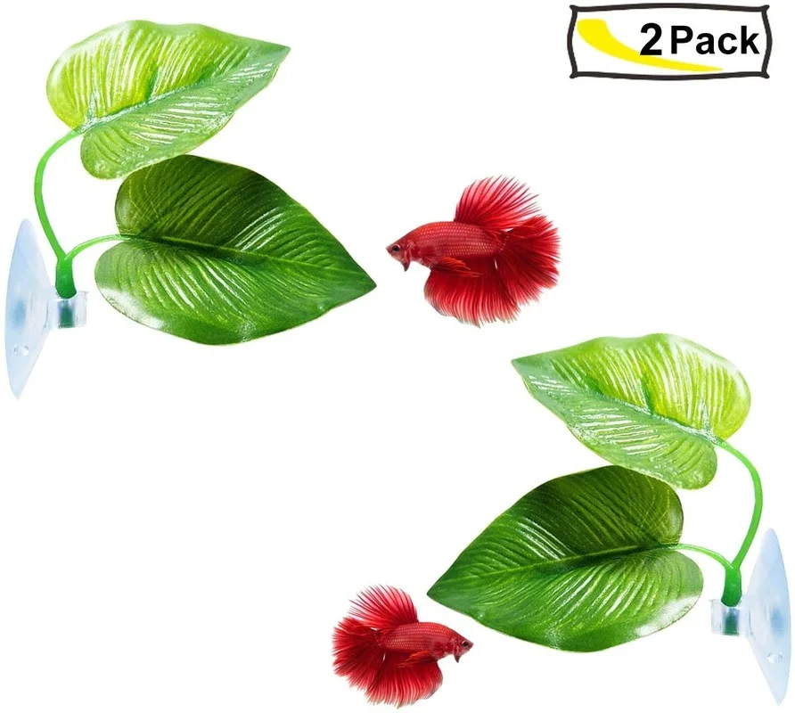 베타 물고기 잎 해먹은 베타 산란 사육 휴식 침대 수족 - Planted Aquarium For Betta 리뷰 및 가격