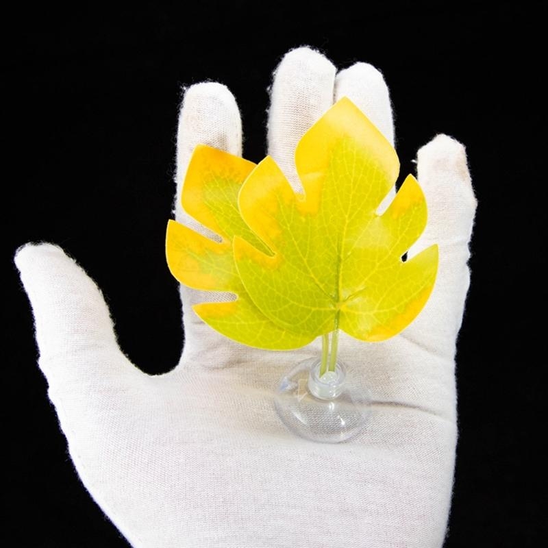BettaFish 수족관 식물 조경 장식용 물고기 잎  - Planted Aquarium For Betta 리뷰 및 가격