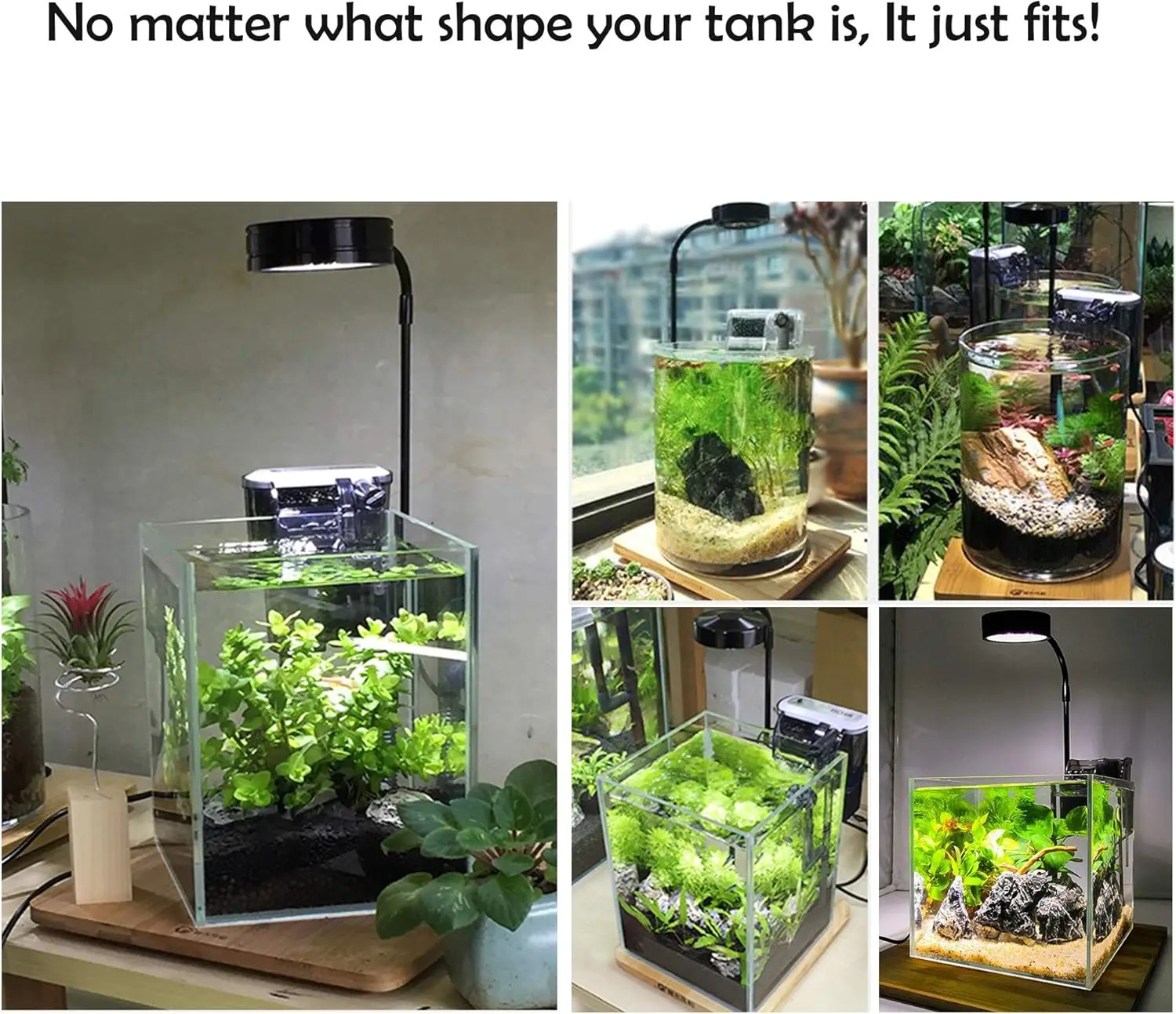 LED 수족관은 대나무 보드로 빛을 성장시킵니다. 수족 - Planted Aquarium For Betta 리뷰 및 가격