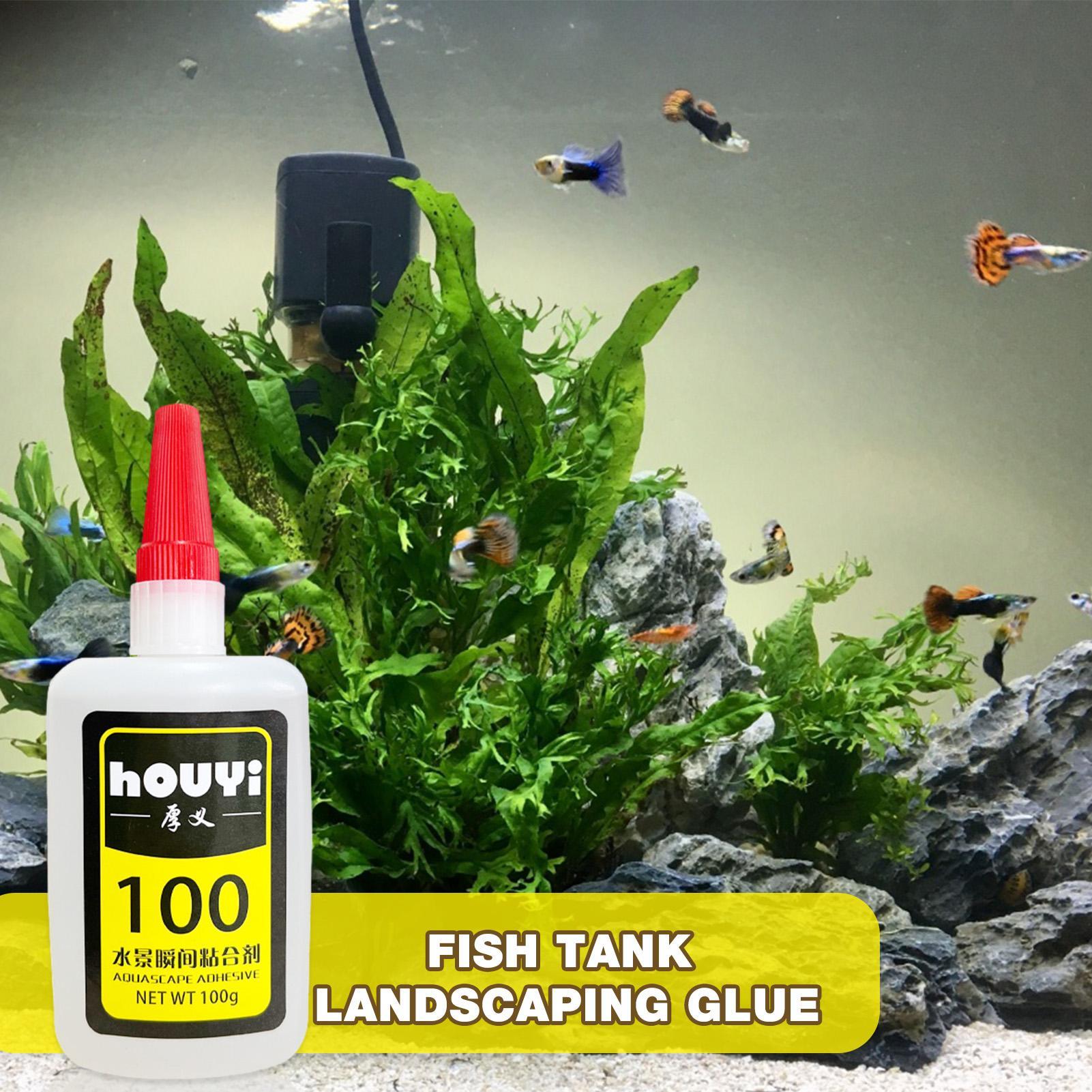 50/100g 투명 순간접착제 아쿠아스케이핑 방수 수족 - Planted Aquarium Aquascape 리뷰 및 가격