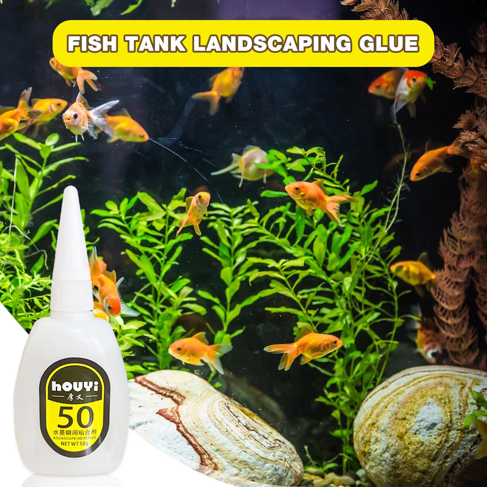 50/100g 투명 순간접착제 아쿠아스케이핑 방수 수족 - Planted Aquarium Aquascape 리뷰 및 가격